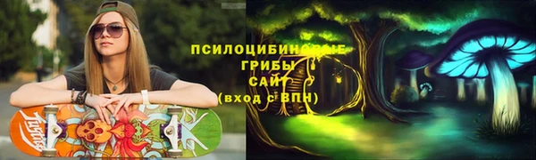 spice Алзамай