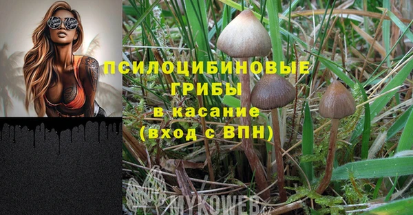 стафф Алексин