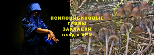 стафф Алексин