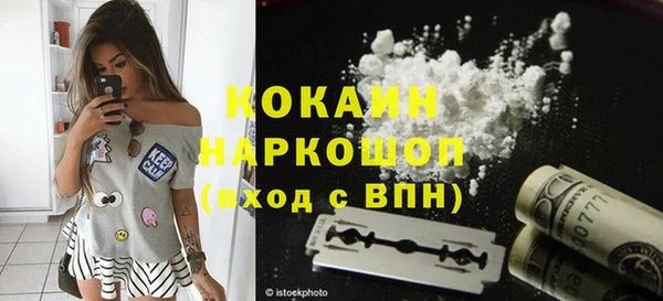 хмурый Пересвет