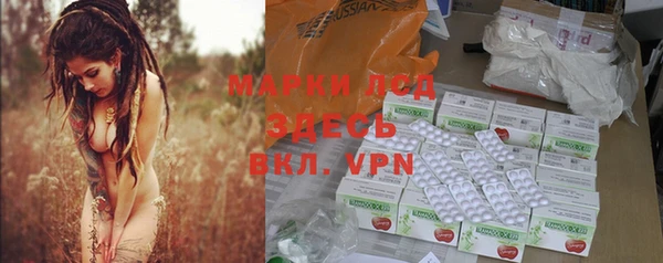 spice Алзамай